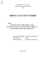 giải pháp phát triển dịch vụ thẻ thanh toán tại ngân hàng nông nghiệp và phát triển nông thôn việt nam