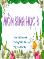 bai 37: thuc hanh sinh 9
