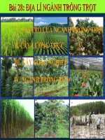 địa lý ngành trồng trọt
