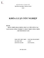 hoàn thiện hoạt động cho vay tiêu dùng tại ngân hàng nông nghiệp và phát triển nông thôn chi nhánh hà nam