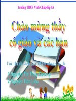 thành cổ quảng trị