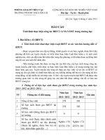 Báo cáo về tình hình thực  hiện BHYT và NS - VSMT năm 2013