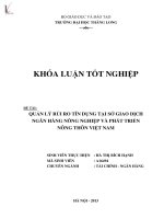 quản lý rủi ro tín dụng tại sở giao dịch ngân hàng nông nghiệp và phát triển nông thôn việt nam