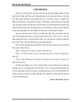 Báo cáo tổng hợp Tổ chức bộ máy kế toán và hệ thống kế toán tại công ty cổ phần may Đáp Cầu