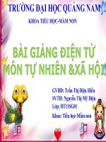 vệ sinh cơ quan tuần hoàn