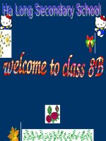 Unit 14 Tieng Anh 8 Listen