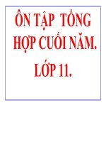 CÂU HỎI ÔN TẬP TỔNG HỢP CUÓIHỌC KÌ 2-NGỮ VĂN 11