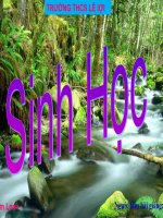 bài 50 vi khuẩn(tt)