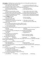 kiểm tra một tiết vật lý 7