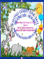 Động Vật Sống TRong Rưng