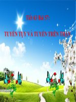 Bài 57: Tuyến tụy và tuyến trên thận