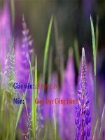 Quyền và nghĩa vụ lao động của công dân