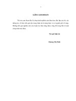 Phát triển thương mại bền vững trên địa bàn tỉnh thái nguyên