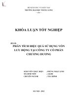 phân tích hiệu quả sử dụng vốn lưu động tại công ty cổ phần chương dương