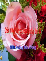 tap viet chu N hoàng hữu trung