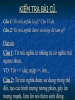 tu dong am ngu van 7