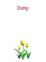 Cơ sở , quá trình hình thành và phát triển tư tưởng Hồ Chí Minh