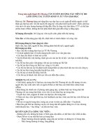 TUYỂN CÔNG TÁC VIÊN TUYỂN SINH