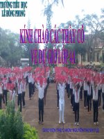 bai giang Dong tu - lop 4