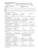 Tuyển đề thi ôn TN-THPTLụcNam 4-2013