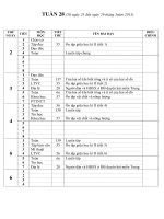 GA lớp 4 tuần 28 hoàn chỉnh (Thủy)