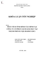 phân tích tình hình tài chính tại công ty cổ phần sách giáo dục tại thành phố hà nội (haebco jsc)