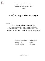 giải pháp tăng lợi nhuận tại công ty cổ phần trung tâm công nghệ mềm