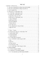 Nghiên cứu ứng dụng vi điều khiển VAR