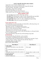 chủ đề giao thông( tuần 4)