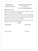 ĐỀ THI HKII. MÔN SỬ 12