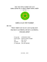 phát triển sản xuất cam tại địa bàn