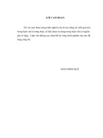 Luận văn tốt nghiệp: Sự tác động của tỷ giá hối đoái đến chỉ số giá nhập khẩu ở Việt nam