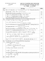 Huong dan cham HSG Toan 12-Nam Dinh 2013