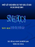 tiêt 59 Tuyến Yên Tuyến Giáp