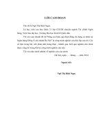 Luận văn thạc sỹ: Nâng cao hiệu quả hoạt động tín dụng cá nhân tại Ngân hàng Đông Á chi nhánh Hà Nội