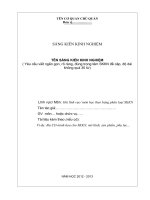 HƯỚNG DẪN VIẾT SKKN 2013