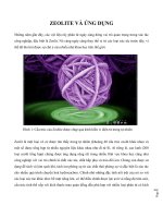 ZEOLITE VÀ NHỨNG ỨNG DỤNG THỰC TẾ
