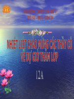 bài 9 : pháp luật với sự phát triển bền vững