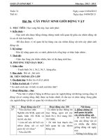 cây phát sinh giới động vật.4 cột