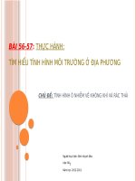 Bài 56 - 57: TH: Tìm hiểu tình hinh môi trường ở địa phương