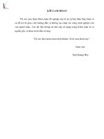 phân tích hiệu quả hoạt động kinh doanh công ty tnhh xây dựng và dịch vụ vận tải quang huy