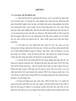Đề cương luận văn  Phát triển hệ thống trường THCS huyện Mê Linh – TP Hà Nội theo hướng chuẩn hóa