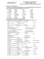 Đề thi HSG huyện môn tiếng anh 7