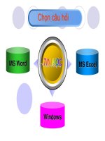 Câu hỏi ôn tập Tin học (Windows, Word, Excel)