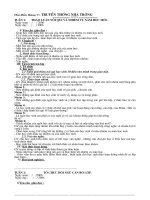 Giáo án Hoạt động ngoài giờ lên lớp