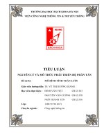 tiểu luận nguyên lý và mô thức phát triển hệ phân tán mô hình tính toán lưới