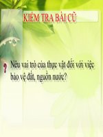 BÀI 48 - VAI TRÒ CỦA THỰC VẬT ĐỐI VỚI ĐỘNG VẬT VÀ ĐỐI VỚI CON NGƯỜI