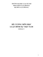 ĐỀ CƯƠNG MÔN HỌC LUẬT HÌNH SỰ VIỆT NAM MODULE 1