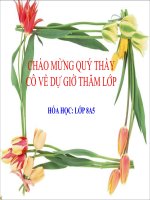 bai luyen tap 8 cuc hay, giao vien gioi thanh pho