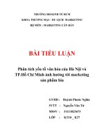 phân tích yếu tố văn hóa của hà nội và tp.hồ chí minh ảnh hưởng tới marketing sản phẩm bia